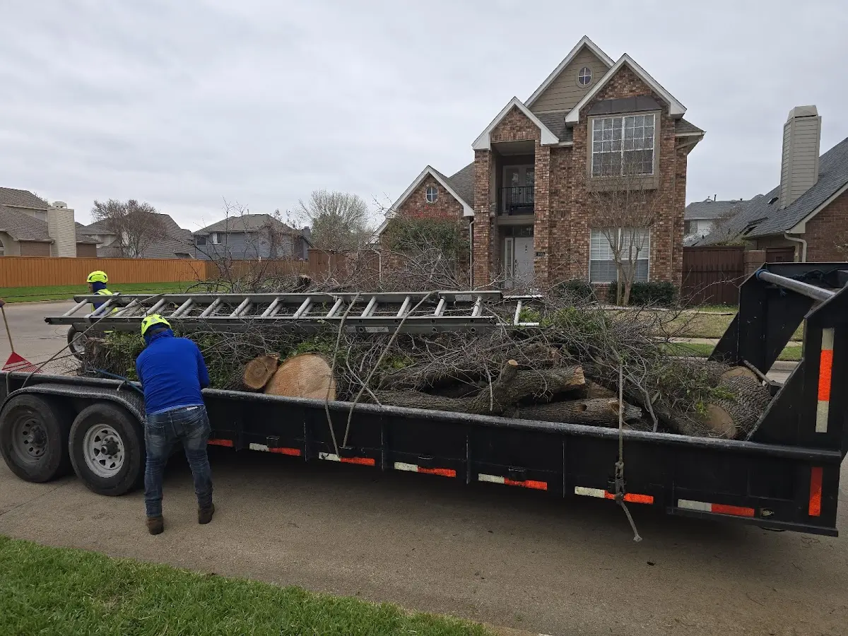 Expert Lot Clearing with proper safety equipment in Tibbie